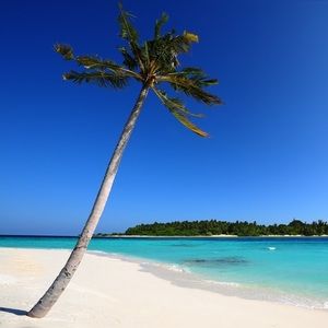 Meet your Posher, Seryna